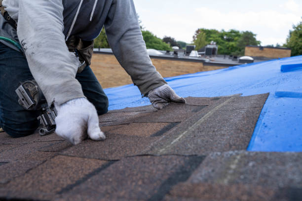 Best Gutter Installation and Repair  in Richton, MS